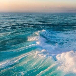 Meet your Posher, Campbell